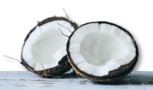 coconut